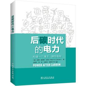 后碳时代的电力 水利电力 [美]彼得.福克斯-彭纳（peter fox-penner ）,王耀华,刘俊,等 新华正版