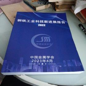 钢铁工业科技新进展报告2022