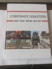 Corporate Disasters: What Went true