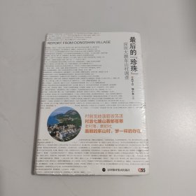 最后的“珍珠”：深圳大鹏东山村调查