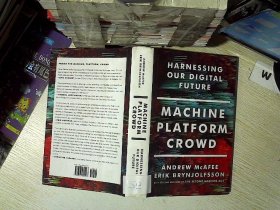 Machine, Platform, Crowd：Harnessing Our Digital Future /机器、平台、人群：驾驭我们的数字未来 （B1）