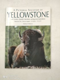A Pictorial Souvenir of Yellowstone : With German, Spanish, Mandarin and Japanese Translations德语,西班牙语,中文,日语