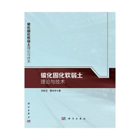 【正版书籍】碳化固化软弱土理论与技术