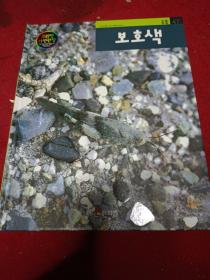 韩国原版儿童书百科书(蝗虫) 韩语 韩文 彩图 16开 绘本精装图书 二手书籍卖出不退不换，外观见图