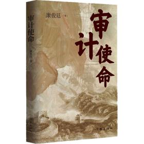 审计使命 官场、职场小说 康俊廷 新华正版