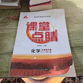 课堂点睛  化学  九年级下册
