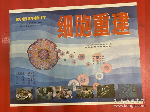 （電影海報）細胞重建（二開）于1985年上映，上海學科教育電影制片廠攝制，以圖為準