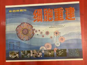 （電影海報）細胞重建（二開）于1985年上映，上海學科教育電影制片廠攝制，以圖為準