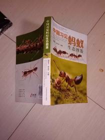 中国习见蚂蚁生态图鉴