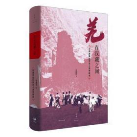 羌在汉藏之间：川西羌族的历史人类学研究