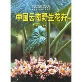 中国云南野生花卉 武全安 9787503821950 中国林业出版社