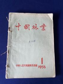 中国林业（1956年第1、2、3、4、5、6期）6册合售