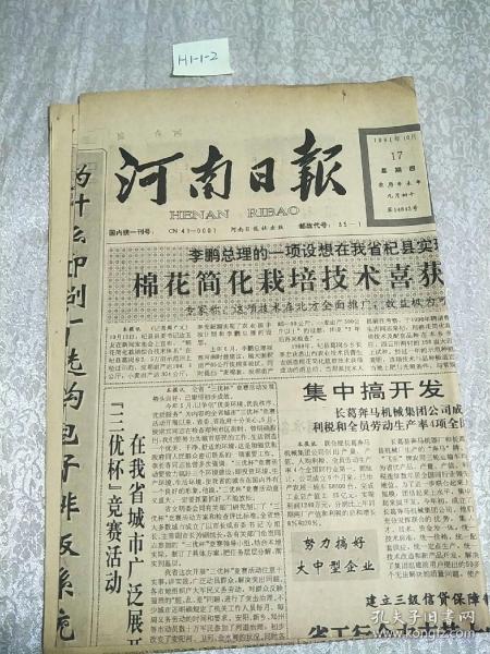 河南日報1991年10月17日生日報