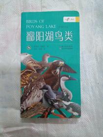 鄱阳湖及五河水系鸟类多样性及生态习性（211216存32开A）