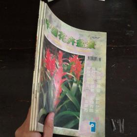 中国花卉盆景1999年第1、4、5期【3本合售】