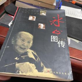 冰心图传