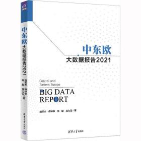 中東歐大數據報告2021 經濟理論、法規 殷軍杰、傅鐘中、高聰、龍力見 新華正版