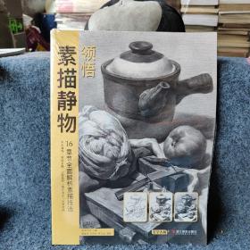领悟素描静物