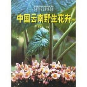 中国云南野生花卉武全安中国林业出版社