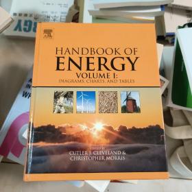 Handbook of Energy, Volume I: Diagrams, Charts, and Tables能源手册，卷1：图、图表和表格
