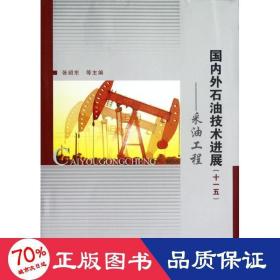 采油工程/外石油技术进展十一五 能源科学 张绍东  新华正版