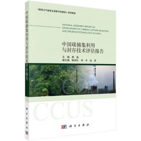 中国碳捕集利用与封存技术评估报告黄晶科学出版社