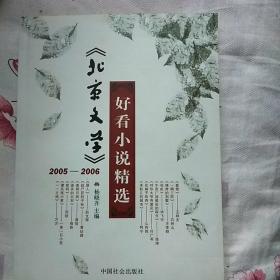 《北京文学》2005-2006好看小说精选