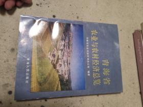 青海省农业与农村经济总览（外品如图，内页干净，近95品）