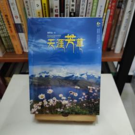 天涯芳草