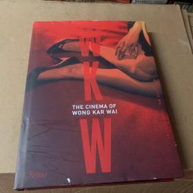 WKW：The Cinema of Wong Kar Wai 王家卫的电影艺术