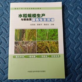 水稻规模生产与病虫害原色生态图谱/粮食产业农民培训精品教材