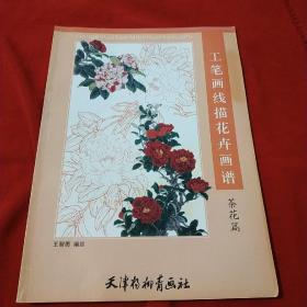 工笔画线描花卉画谱  茶花篇