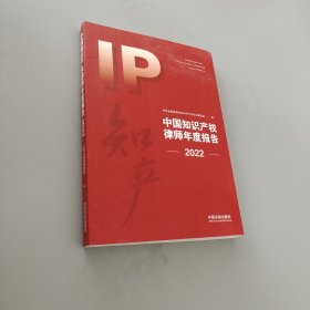 中国知识产权律师年度报告（2022）