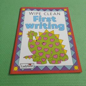 Wipe Clean First Writing