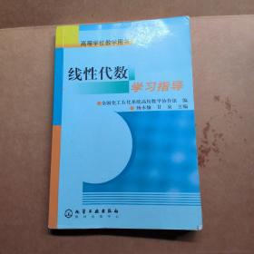 线性代数学习指导——高等学校教学用书