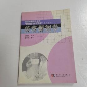 美容解剖学