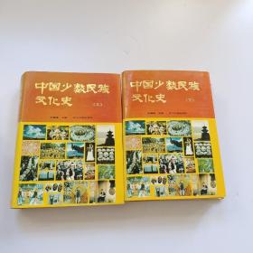 中国少数民族文化史(上下册)