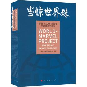 全新 当惊世界殊 菲迪克工程项目奖中国获奖工程集