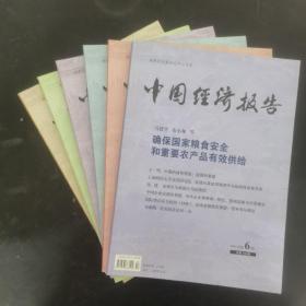 中国经济报告 2019年 双月刊 全年第1-6期（第1、2、3、4、5、6期）总第111-116期 共6本合售