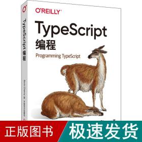 typescript编程 编程语言 里斯·切尔尼 新华正版
