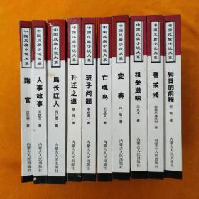 中国反腐小说大系（10本合售）