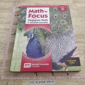 Math in Focus COURSE 1 B