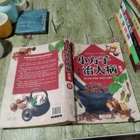 小方子治大病全书