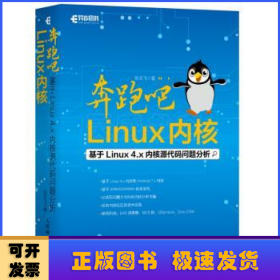 奔跑吧Linux内核:基于Linux 4.x内核源代码问题分析