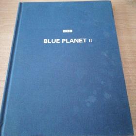 BLUE PLANET_BBC全新4K海洋百科：蓝色星球II