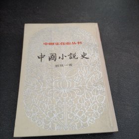 中国小说史，下册