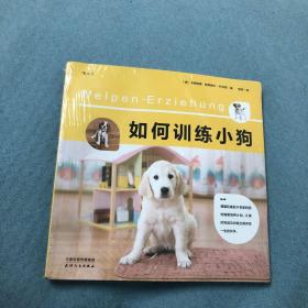 如何训练小狗