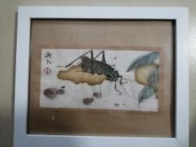 手绘国画昆虫蝈蝈