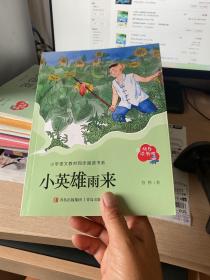 小英雄雨来（六年级）