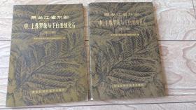 黑龙江省东部中，上侏罗统与下白垩统化石（上下册）